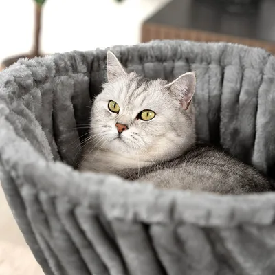 lionto hamac en peluche douce pour arbre à chat avec cadre métallique