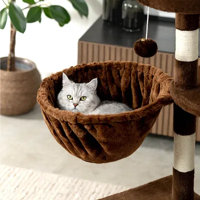 lionto hamac en peluche douce pour arbre à chat avec cadre métallique