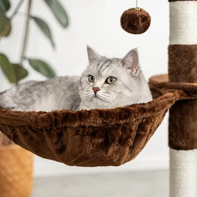 lionto hamac en peluche douce pour arbre à chat avec cadre métallique