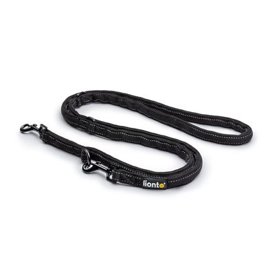 lionto laisse de chien réglable avec bandes réfléchissantes, nylon