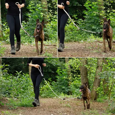 lionto laisse multifonction réglable pour chiens, nylon robuste & inox