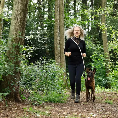 lionto laisse multifonction réglable pour chiens, nylon robuste & inox