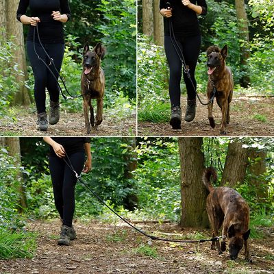 lionto Multifunktions-Hundeleine verstellbar aus robustem Nylon & Edelstahl