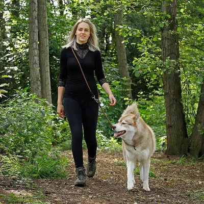 lionto laisse multifonction réglable pour chiens, nylon robuste & inox