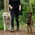 lionto laisse multifonction réglable pour chiens, nylon robuste & inox