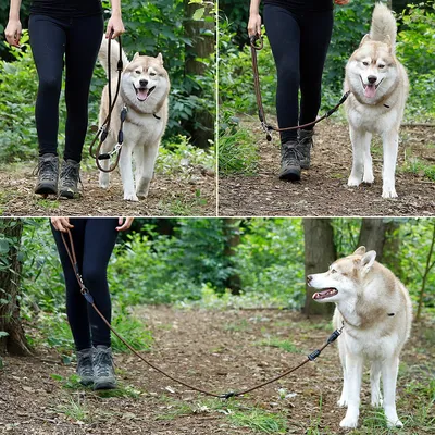 lionto laisse multifonction réglable pour chiens, nylon robuste & inox