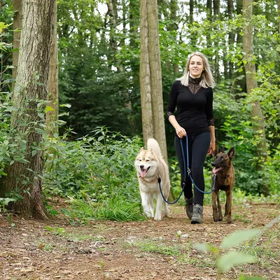 lionto laisse multifonction réglable pour chiens, nylon robuste & inox