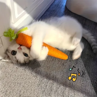 UAMLY Jouets à mâcher dentaires pour chat en forme de carotte