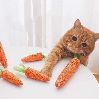 UAMLY Jouets à mâcher dentaires pour chat en forme de carotte