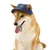 FurryFusion Sonnenhut aus Jeansstoff für Hunde
