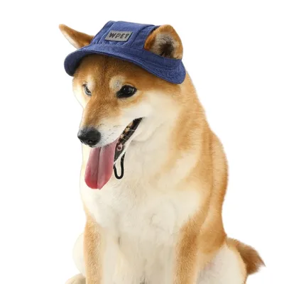 FurryFusion Sonnenhut aus Jeansstoff für Hunde