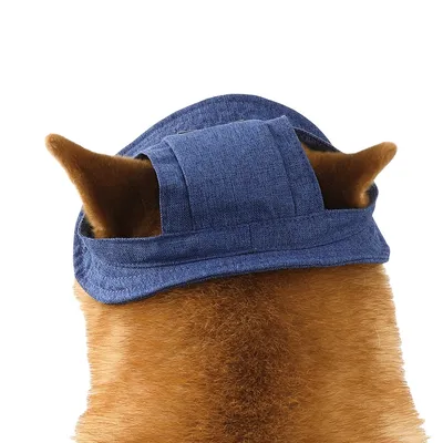 FurryFusion Sonnenhut aus Jeansstoff für Hunde