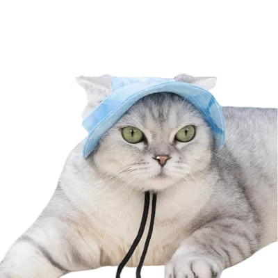 FurryFusion Sonnenhut für Hunde und Katzen FurryFusion Sonnenhut für Hunde und Katzen