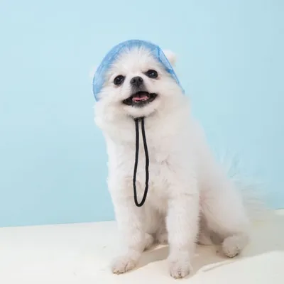 FurryFusion Sonnenhut für Hunde und Katzen FurryFusion Sonnenhut für Hunde und Katzen