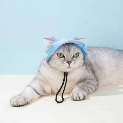 FurryFusion Sonnenhut für Hunde und Katzen FurryFusion Sonnenhut für Hunde und Katzen