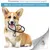 Institut Katharos Argent Colloïdal - Nettoyant oreilles pour chien & chat