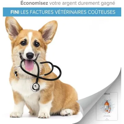 Institut Katharos Argent Colloïdal - Nettoyant oreilles pour chien & chat