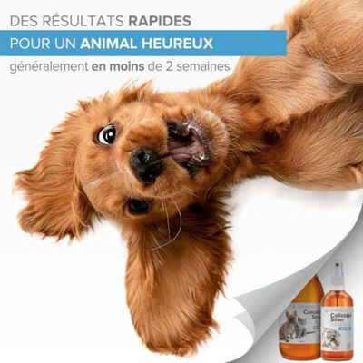 Institut Katharos Argent Colloïdal - Nettoyant oreilles pour chien & chat