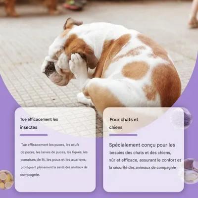 FurryFusion Spray antiparasitaire pour animaux de compagnie 50ml