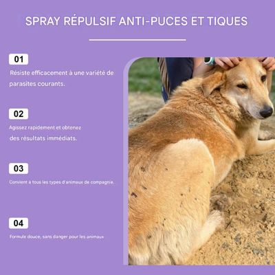 FurryFusion Spray antiparasitaire pour animaux de compagnie 50ml