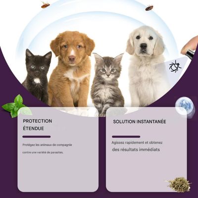 FurryFusion Spray antiparasitaire pour animaux de compagnie 100ml