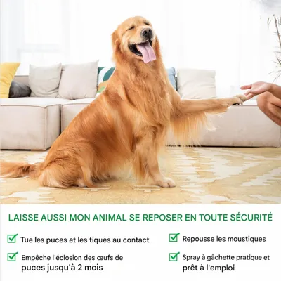 FurryFusion Spray antiparasitaire pour animaux de compagnie