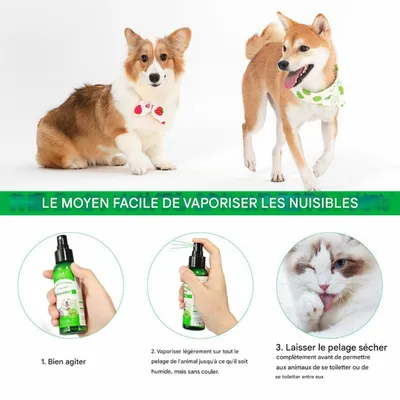 FurryFusion Spray antiparasitaire pour animaux de compagnie