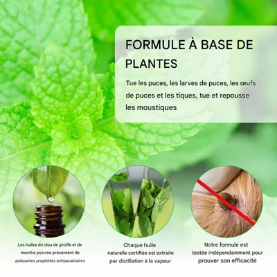 FurryFusion Spray antiparasitaire pour animaux de compagnie