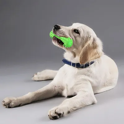 UAMLY Jouets de dentition pour chiens