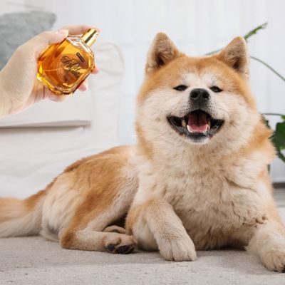 FurryFusion Eau de toilette pour animaux de compagnie, 50 ml
