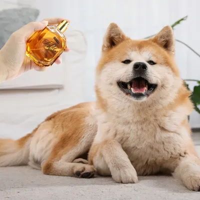 FurryFusion Eau de toilette pour animaux de compagnie, 50 ml