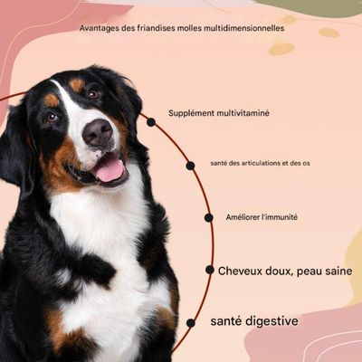 FurryFusion Complément alimentaire pour animaux 120 comprimés