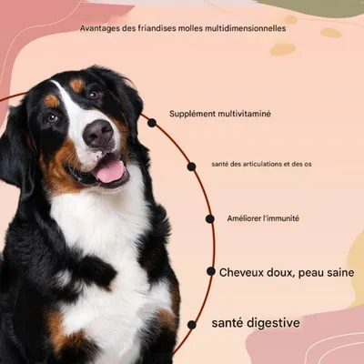 FurryFusion Complément alimentaire pour animaux 120 comprimés