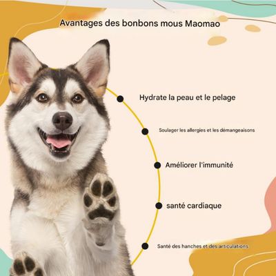 FurryFusion Granules à mâcher pour embellir la fourrure des chiens