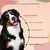 FurryFusion Complemento alimenticio para animales, 120 comprimidos