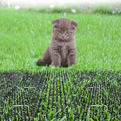 UAMLY Tapis de protection dissuasif pour animaux