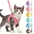 UAMLY Ensemble Harnais et Laisse pour Chat Anti-Traction