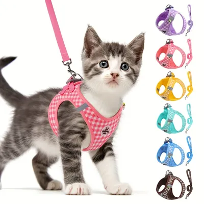 UAMLY Ensemble Harnais et Laisse pour Chat Anti-Traction