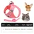 UAMLY Ensemble Harnais et Laisse pour Chat Anti-Traction
