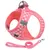 UAMLY Ensemble Harnais et Laisse pour Chat Anti-Traction UAMLY Ensemble Harnais et Laisse pour Chat Anti-Traction