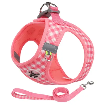 UAMLY Ensemble Harnais et Laisse pour Chat Anti-Traction