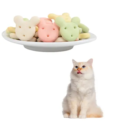 FurryFusion Biscuits Mickey multicolores pour chiens