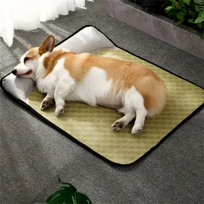 FurryFusion Matelas de fraîcheur estival pour chiens FurryFusion Matelas de fraîcheur estival pour chiens