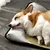 FurryFusion Matelas de fraîcheur estival pour chiens FurryFusion Matelas de fraîcheur estival pour chiens