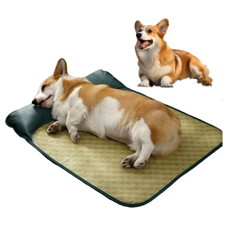 FurryFusion Sommer-Kühlmatte für Hunde