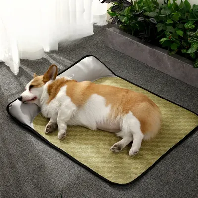 FurryFusion Matelas de fraîcheur estival pour chiens FurryFusion Matelas de fraîcheur estival pour chiens