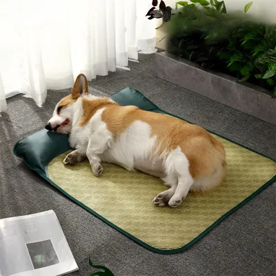 FurryFusion Matelas de fraîcheur estival pour chiens FurryFusion Matelas de fraîcheur estival pour chiens