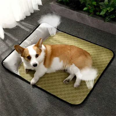 FurryFusion Matelas de fraîcheur estival pour chiens FurryFusion Matelas de fraîcheur estival pour chiens