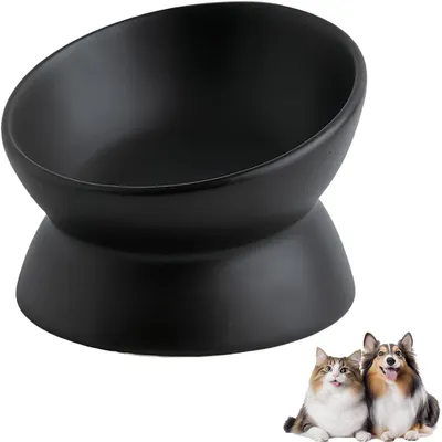 UAMLY Gamelle surélevée et inclinée en céramique pour chat