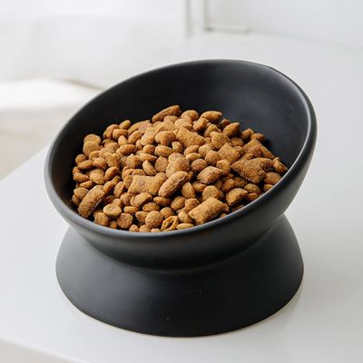 UAMLY Erhöhter und geneigter Keramik-Katzennapf